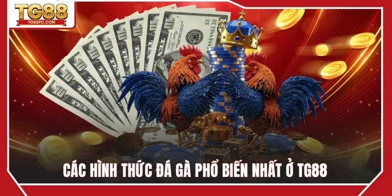 Các hình thức so tài chọi gà phổ biến nhất